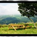 대관령 사파리 목장 이미지