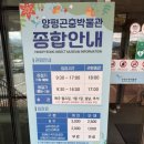 양평곤충박물관 | 아기랑 갈만한곳 체험형 양평곤충박물관 후기