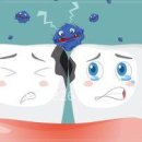 서울순치과의원 이미지