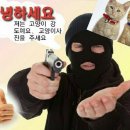 하이고 이미지