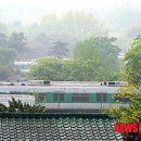 조성봉농장 이미지