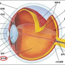 굿모닝빛안과의원 이미지