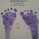 베베토리 이미지