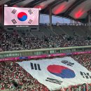 몽글몽글PET | ⚽ 첫 축구 직관, 대한민국 vs 쿠웨이트 월드컵 3차 예선 A매치 4:0 완승 직관 후기