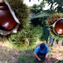 이종근 농장 이미지