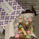 웰컴 | 머큐어 교토 스테이션 아코르 플래티넘 혜택｜웰컴드링크·조식 후기