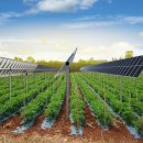 주식회사인터 이미지