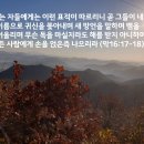 연산축사 이미지