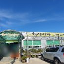 화산식당참붕어찜 이미지