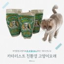 꼬모도유통 | 친환경고양이모래추천 💚 100% 미국산 잣나무로 만들어진 카타리스트고양이모래 100%리얼후기!