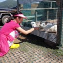 보광목장 이미지