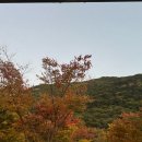 산여울캠핑장 | 부산 근교 단풍 캠핑장 밀양 산여울 캠핑장 A5 사이트 찐 후기 내돈내산