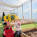 이용기농장 이미지