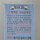 광어회사랑1