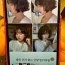 샴푸보이 글로리아