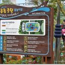 감나무골 물놀이공원 이미지