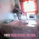 라보떼 Daum카페