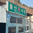 울진물회 | 🏷️울진) 현지인들의 오래된 물회 맛집 울산회식당 내돈내산 후기!