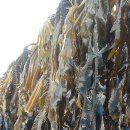 완도화목식품 이미지