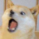 15짐 이미지