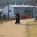 좌학근린공원 이미지