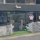 케나인애견용품 네이버블로그