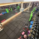 아폴로휘트니스 이미지