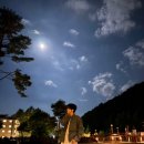 세림 이미지