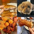 총각네옛날통닭 - 용인시 기흥구 구갈로60번길 1 | 온천장 저녁 맛집 치킨 맛집 BEST5 통닭 생맥주 저녁 술집 비교 내돈내산