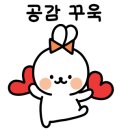 목포전집 이미지