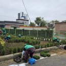 금호읍 새 영천뉴스24