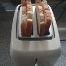 꼬소한지수네 이미지