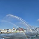 역사가 흐르는 탐진강 전통 흥 | 장흥물축제 락페스티벌 EDM 파티 현장 후기
