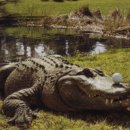 영종골프연습장 이미지