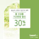 란찌 이미지