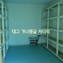 가나앵글 이미지