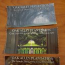 오크앨리 이미지