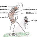 대한골프필라테스