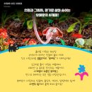 민들레 소극장 | [인형극Play] 2024 사랑에 빠진 뽀메로 | 남한산성아트홀소극장