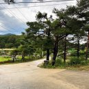 도원산장 이미지