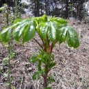 시동농장 이미지