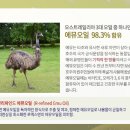 로덱스 이미지