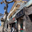 만사성 | 서귀포 중식 맛집 만사성 짬뽕은 무조건 드세요 (솔직후기)