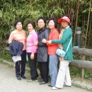 북이초등학교 이미지