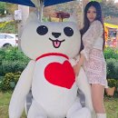 진도개사랑 이미지