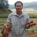 가파마을영농조합법인 이미지