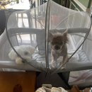 트렌들리