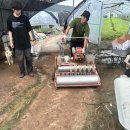 현규농장 이미지