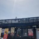 단골푸드 | [강릉/월화거리] "타코야끼를 밥으로 감쌌다고?" 신기해서 먹었다가 단골된 '월화푸드' 밥꼬야끼 후기