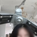 머리끄댕이 | [동작] 사당역 미용실 :: 끄댕이 헤어살롱